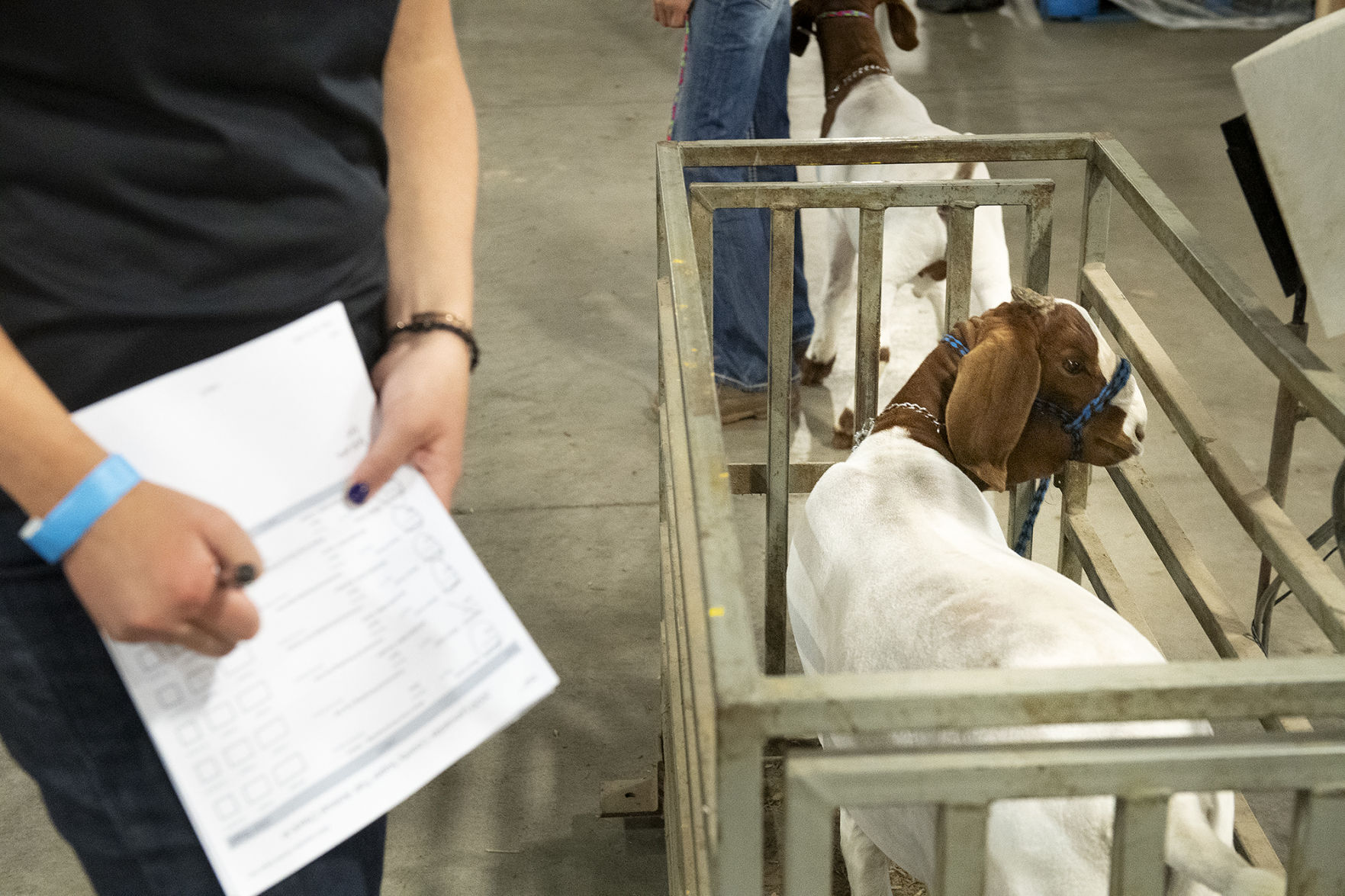 Lancaster County Super Fair, 7.30.20